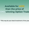 Best Options Trading Journal Spreadsheet for the highly profitable option trader looking to learn from his trade journal